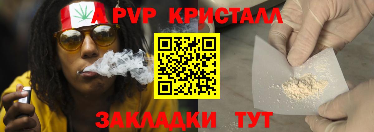 Alfa_PVP СК КРИС Елизово