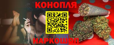 прущие грибы Можайск