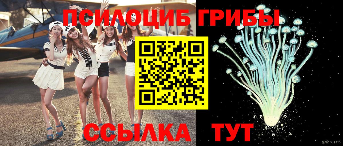 Амфетамин Елизово