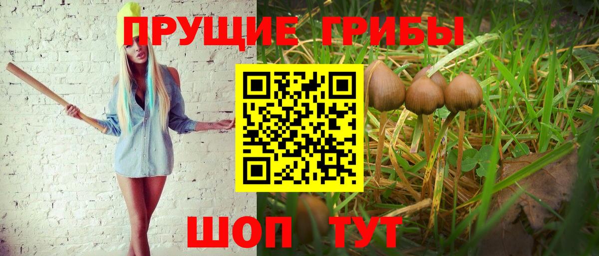 Галлюциногенные грибы Psilocybe  Вход с VPN  Елизово  сколько стоит  Псилоцибиновые грибы MAGIC MUSHROOMS 